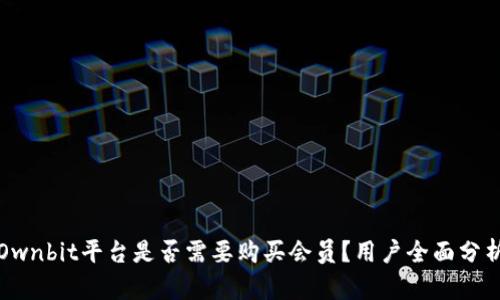 Ownbit平台是否需要购买会员？用户全面分析