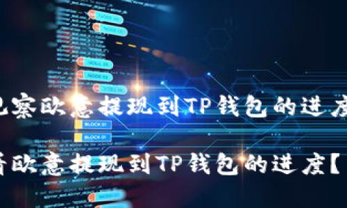 提取与观察欧意提现到TP钱包的进度：全攻略

如何查看欧意提现到TP钱包的进度？