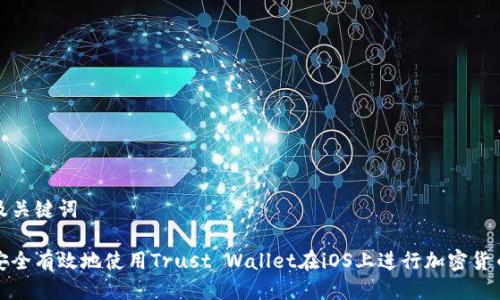 思考及关键词

如何安全有效地使用Trust Wallet在iOS上进行加密货币管理
