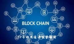 TP子的用途与优势解析